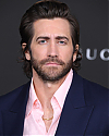 Filename=JakeGyllenhaalArchives-035.jpg
Filesize=4214KiB
Dimensions=1547x2048
Date added=Nov 25, 2021 JakeGyllenhaalArchives-035.jpg