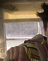 JakeGyllenhaalArchives-0624.jpg