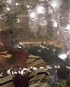 Filename=JakeGyllenhaalArchives-0755.jpg
Filesize=235KiB
Dimensions=1920x800
Date added=Aug 17, 2021 JakeGyllenhaalArchives-0755.jpg