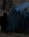 JakeGyllenhaalArchives-0705.jpg