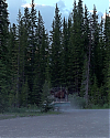 JakeGyllenhaalArchives-1320.jpg