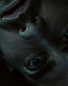 JakeGyllenhaalArchives-0124.jpg