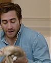 JakeGyllenhaalArchives-015.jpg