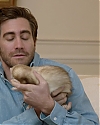 JakeGyllenhaalArchives-016.jpg