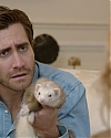 JakeGyllenhaalArchives-031.jpg